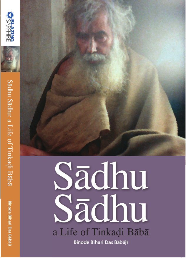 Sadhu Sadhu: Front Cover